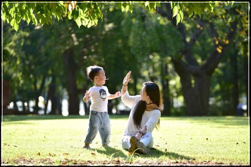 보장큰암보험 보장이예요  비교견적